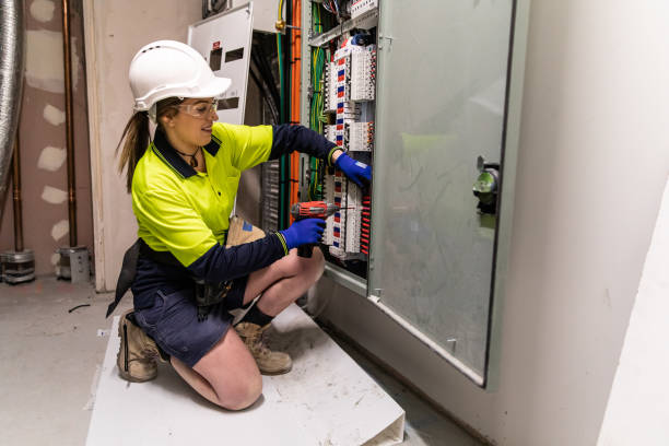 Best Electric Panel Repair  in Chester, MD